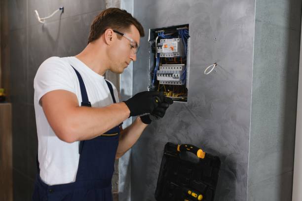 Best Electric Panel Repair  in Inniswold, LA